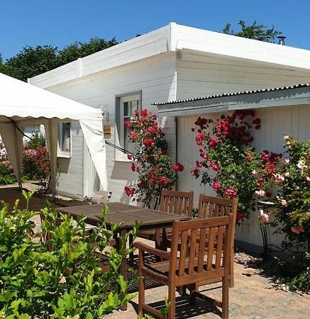Ferienbungalow Haus Am Teich Boltenhagen  Eksteriør bilde