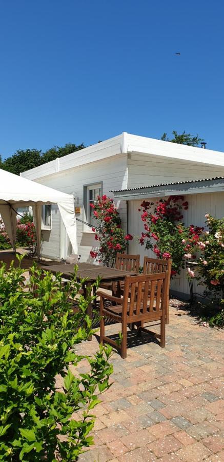 Ferienbungalow Haus Am Teich Boltenhagen  Eksteriør bilde