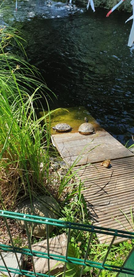 Ferienbungalow Haus Am Teich Boltenhagen  Eksteriør bilde