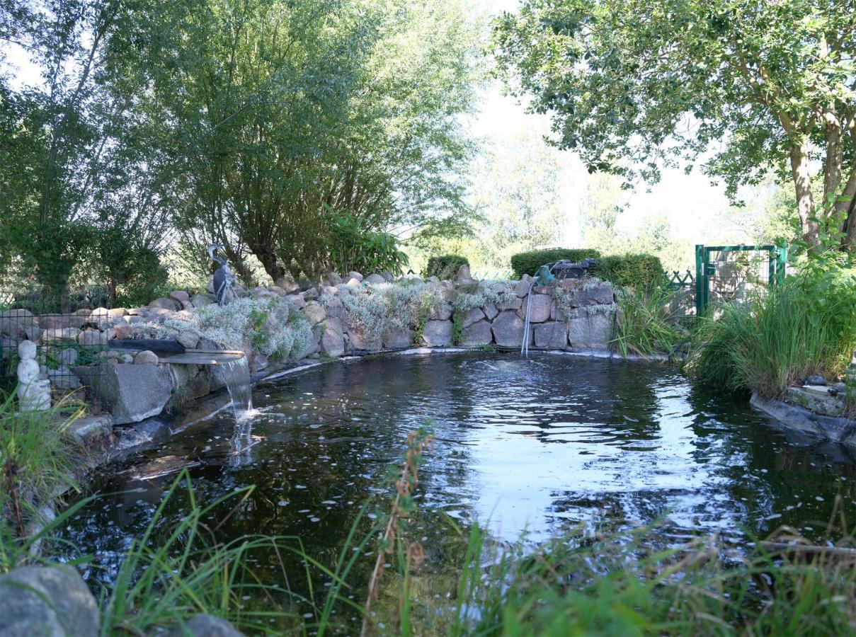 Ferienbungalow Haus Am Teich Boltenhagen  Eksteriør bilde